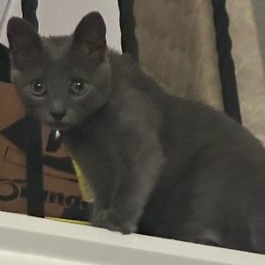 Meet your Posher, Sabrina